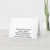 Kachemak湾のワタリガラス カード (裏面)