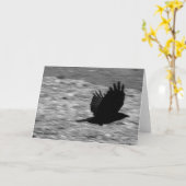 Kachemak湾のワタリガラス カード (黄色い花)