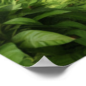 Kagu FM Radio ポスター (角)