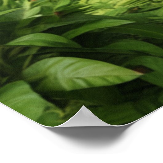 Kagu FM Radio  ポスター (角)