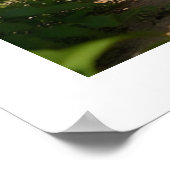 Kagu Kobudo  ポスター (角)