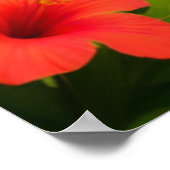 Kagu Mamoru Kun ポスター (角)