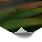 Kagu Potter ポスター (角)