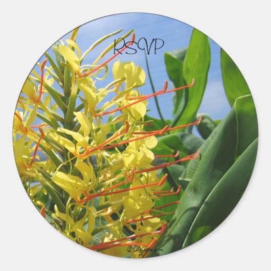 Kahili Gingerの結婚封筒用シール/シール ラウンドシール (正面)