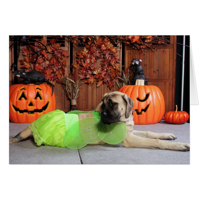 Kahlua -英国のマスティフ- Phiathep (正面横)