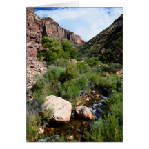 Kaibabの北の道からの眺め