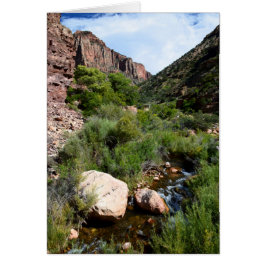 Kaibabの北の道からの眺め