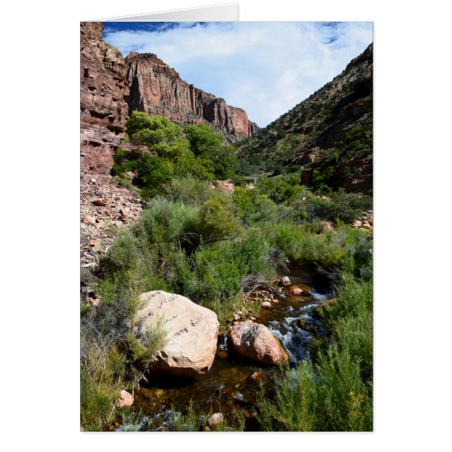 Kaibabの北の道からの眺め (正面)