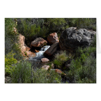 Kaibabの北の道、グランドキャニオンからの眺め