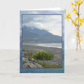 Kaikouraのビーチの挨拶状の春 カード (黄色い花)