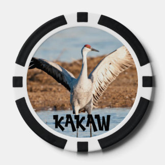 KAKAW NO BUENO 19 ポーカー チップ