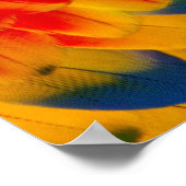 Kaleidoscope Scarlet Macaw design ポスター (角)