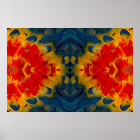 Kaleidoscope Scarlet Macaw design ポスター (正面)