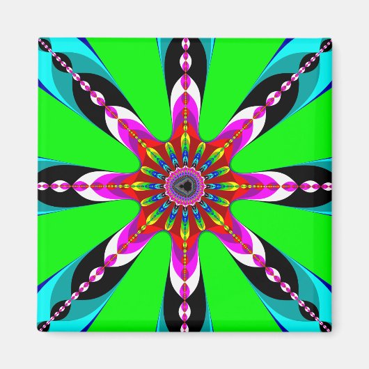 Kaleidozone – フラクタル マグネット (正面)