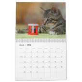 Kalender 2025 Cat Lover Katzen カレンダー (3月 2026)