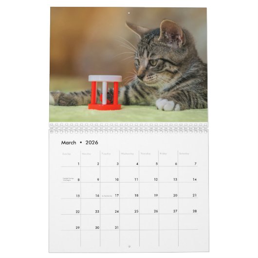 Kalender 2025 Cat Lover Katzen カレンダー (3月 2026)