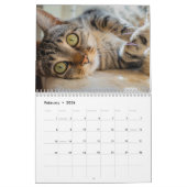 Kalender 2025 Cat Lover Katzen カレンダー (2月 2026)