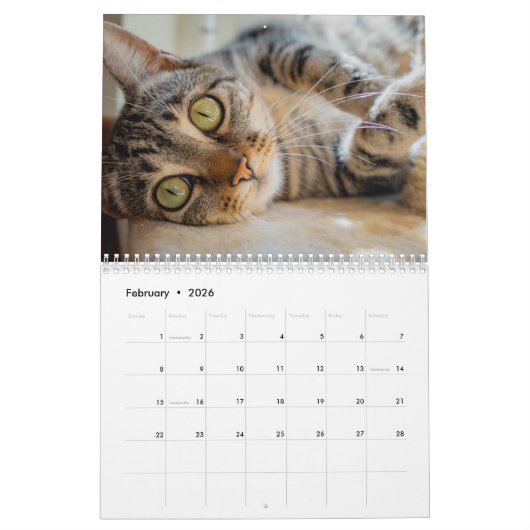 Kalender 2025 Cat Lover Katzen カレンダー (2月 2026)