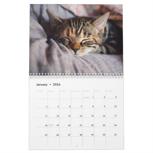 Kalender 2025 Cat Lover Katzen カレンダー (1月 2026)