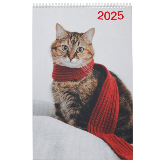 Kalender 2025 Cat Lover Katzen カレンダー (カバー)