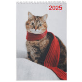Kalender 2025 Cat Lover Katzen カレンダー (カバー)