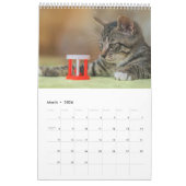 Kalender 2025 Cat Lover Katzen カレンダー (3月 2026)
