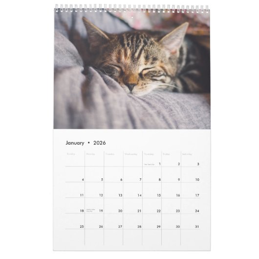 Kalender 2025 Cat Lover Katzen カレンダー (1月 2026)