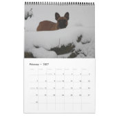 Kalender französische Bulldogge tolle Fotosammlung カレンダー (2月 2027)