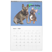 Kalender französische Bulldogge tolle Fotosammlung カレンダー (3月 2026)