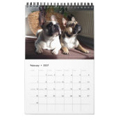 Kalender französische Bulldogge tolle Fotosammlung カレンダー (2月 2027)