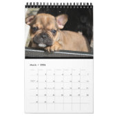 Kalender französische Bulldogge tolle Fotosammlung カレンダー (3月 2026)