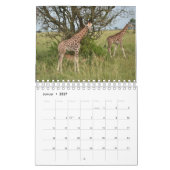 Kalender-Giraffe カレンダー (1月 2027)