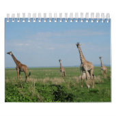 Kalender-Giraffe カレンダー (カバー)