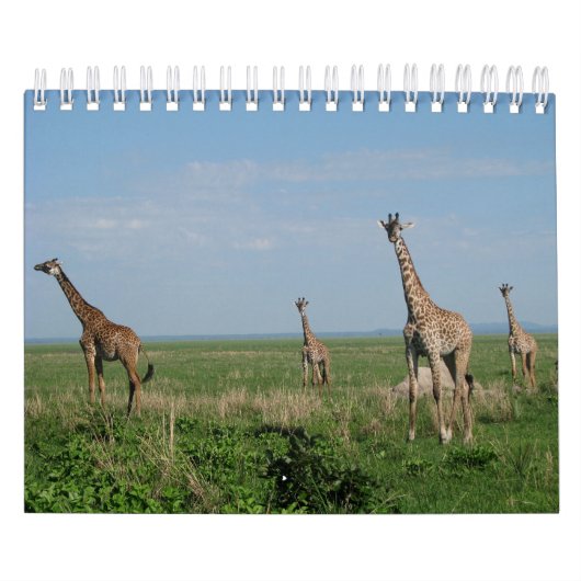 Kalender-Giraffe カレンダー (カバー)
