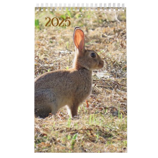 Kalender met afbeeldingen van de natuur カレンダー (カバー)