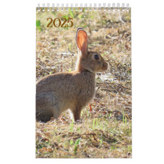 Kalender met afbeeldingen van de natuur カレンダー