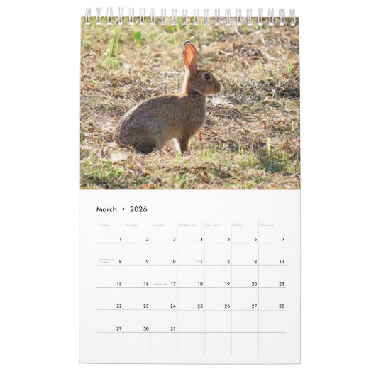 Kalender met afbeeldingen van de natuur カレンダー (3月 2026)