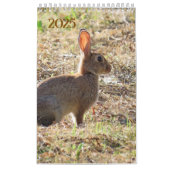 Kalender met afbeeldingen van de natuur カレンダー (カバー)