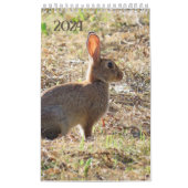 Kalender met afbeeldingen van de natuur カレンダー (カバー)