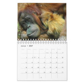 Kalender-Orangutan カレンダー (1月 2027)