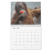 Kalender-Orangutan カレンダー (3月 2027)