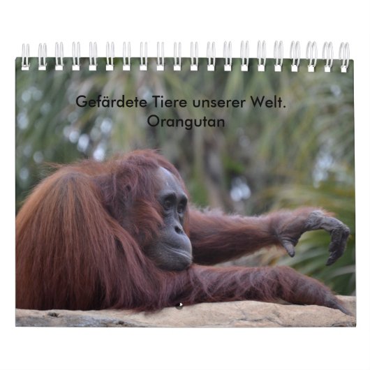 Kalender-Orangutan カレンダー (カバー)