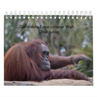 Kalender-Orangutan カレンダー