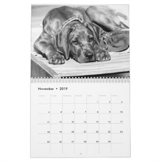 Kalender Rhodesian Ridgeback - Liondog - 15 Monate カレンダー
