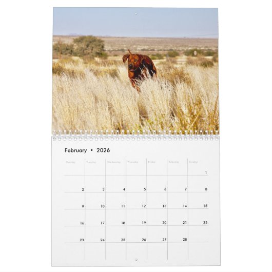 Kalender Rhodesian Ridgeback - Liondog - 15 Monate カレンダー (2月 2026)