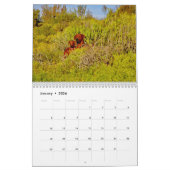 Kalender Rhodesian Ridgeback - Liondog - 15 Monate カレンダー (1月 2026)