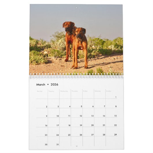 Kalender Rhodesian Ridgeback - Liondog - 15 Monate カレンダー (3月 2026)