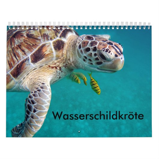 Kalender-Wasserschildkröten カレンダー (カバー)