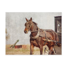 Kalona、アイオワのアマン派の馬および乳母車