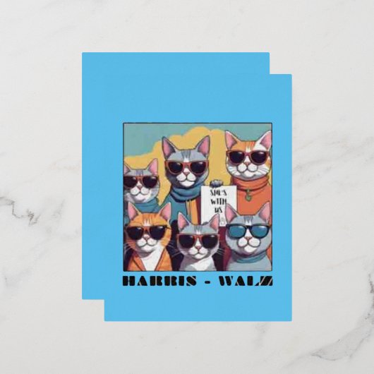 Kamalの子どものいない猫レディ 箔シーズンポストカード (正面/裏面)